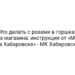 Что делать с розами в горшках из магазина: инструкция от «МК в Хабаровске» — МК Хабаровск