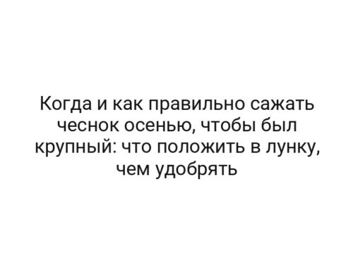 Когда и как правильно сажать чеснок осенью, чтобы был крупный: что положить в лунку, чем удобрять