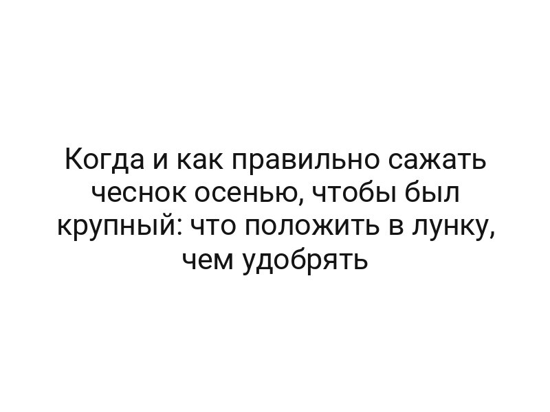 Когда и как правильно сажать чеснок осенью, чтобы был крупный: что положить в лунку, чем удобрять